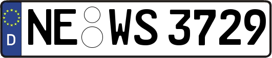 NE-WS3729