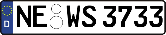NE-WS3733