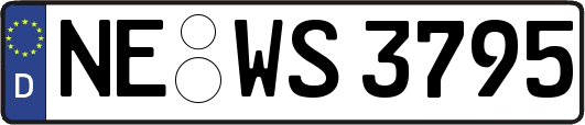 NE-WS3795