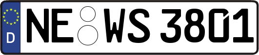 NE-WS3801