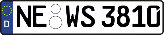 NE-WS3810