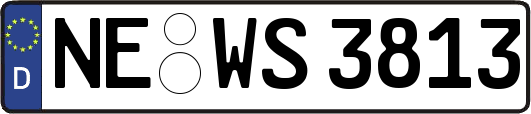 NE-WS3813