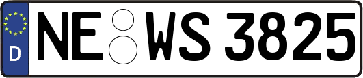 NE-WS3825