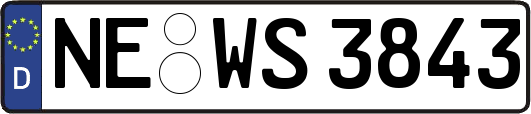 NE-WS3843