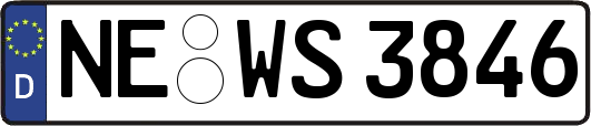 NE-WS3846