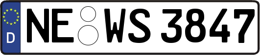 NE-WS3847