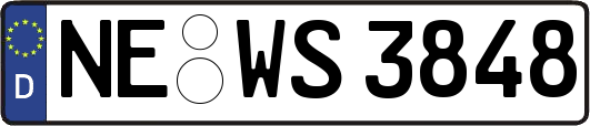 NE-WS3848