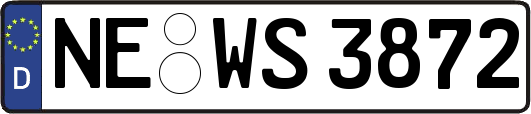 NE-WS3872
