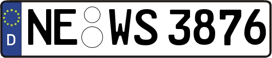 NE-WS3876