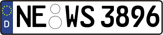 NE-WS3896