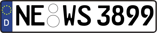 NE-WS3899