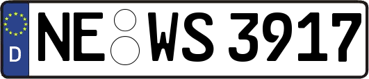 NE-WS3917