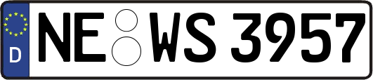 NE-WS3957