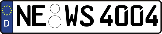 NE-WS4004