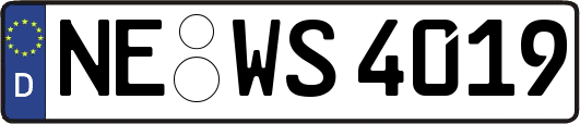 NE-WS4019