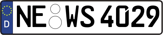 NE-WS4029