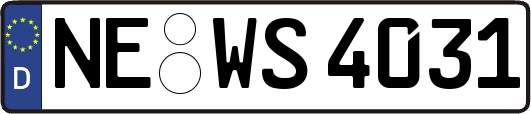 NE-WS4031