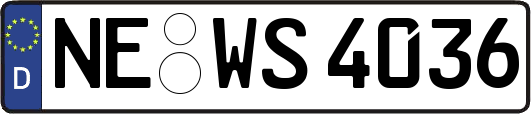 NE-WS4036