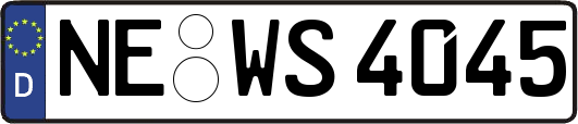 NE-WS4045