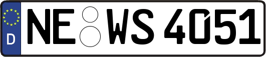 NE-WS4051