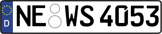 NE-WS4053