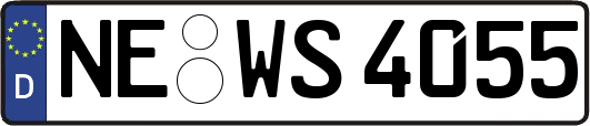 NE-WS4055