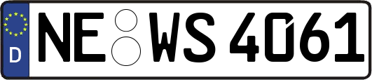NE-WS4061