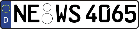 NE-WS4065