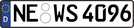 NE-WS4096