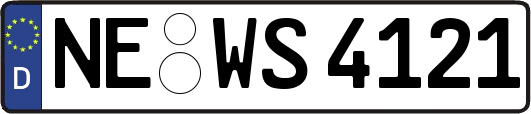 NE-WS4121