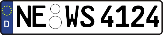 NE-WS4124