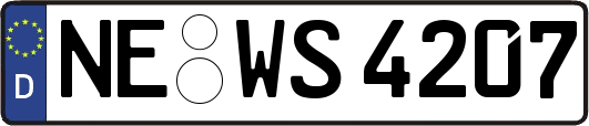 NE-WS4207