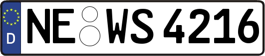 NE-WS4216