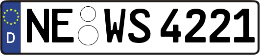 NE-WS4221