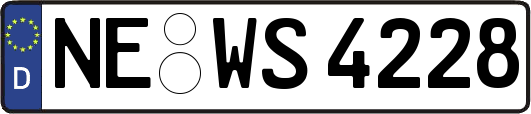 NE-WS4228