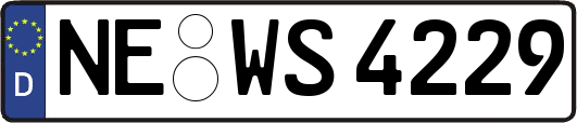 NE-WS4229