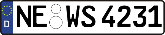 NE-WS4231