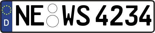 NE-WS4234