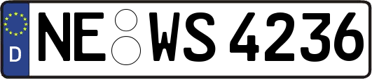 NE-WS4236