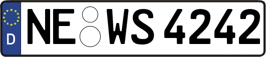 NE-WS4242