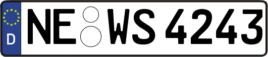 NE-WS4243