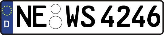 NE-WS4246