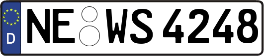 NE-WS4248