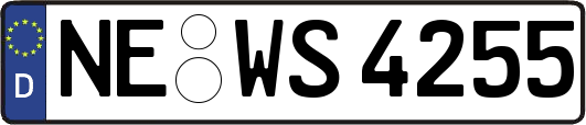 NE-WS4255