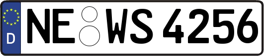 NE-WS4256