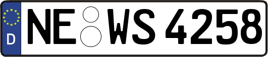 NE-WS4258