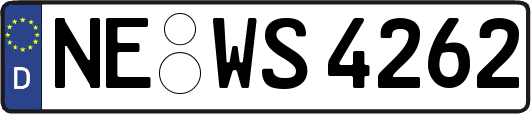NE-WS4262