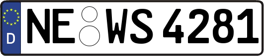 NE-WS4281