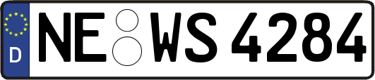 NE-WS4284