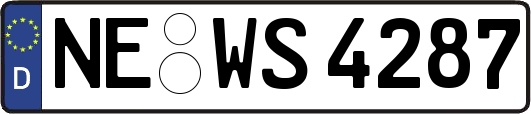 NE-WS4287